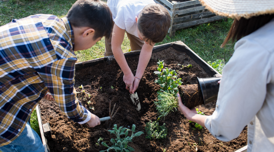 Få hjælp af det lokale frivilligcenter
