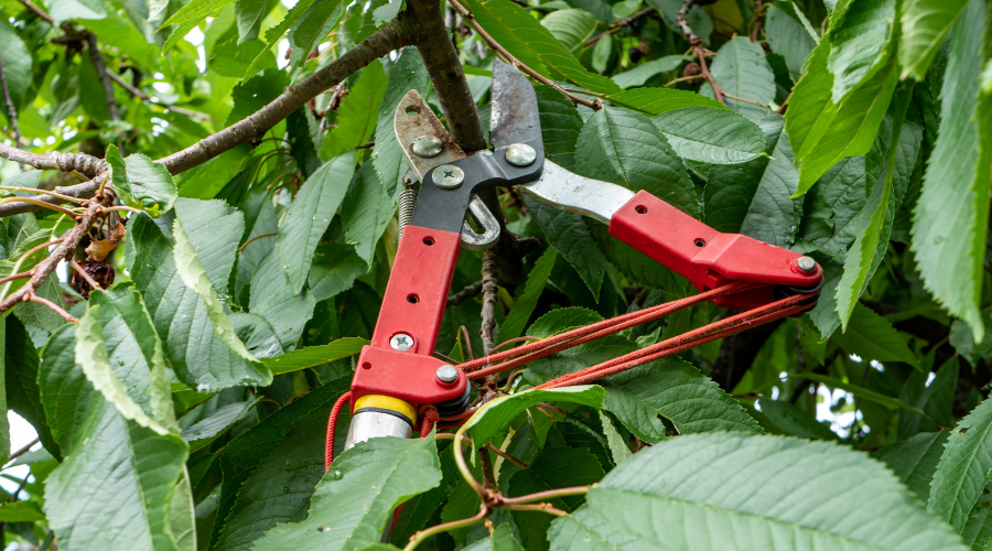 Vælg det rigtige værktøj til havearbejdet